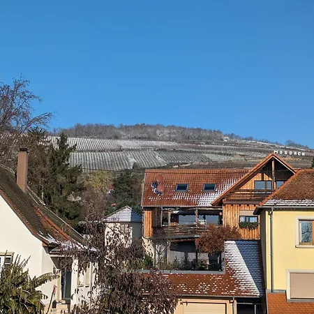 Appartamento Le Cosy Marlenheim Esterno foto
