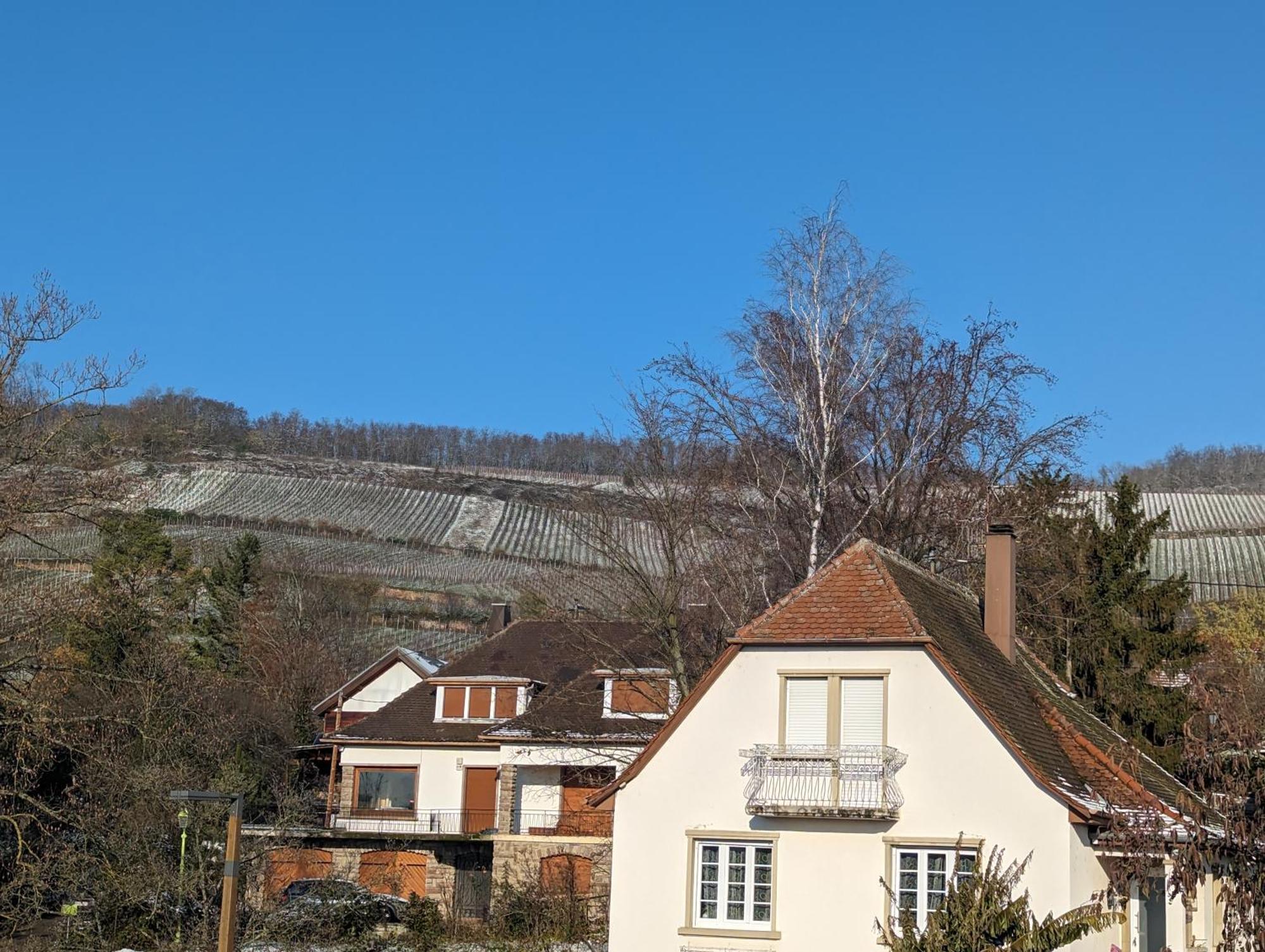 Apartment Le Cosy Marlenheim